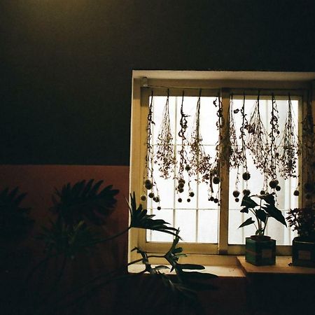 Camellia Apartman Tajpej Kültér fotó